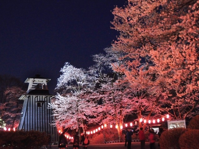 群馬県のおすすめの桜の名所 お花見スポット 21年版 まっぷるトラベルガイド