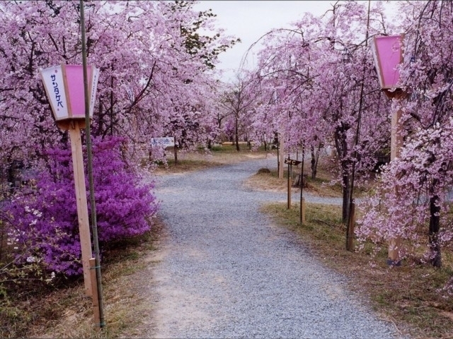 岡山県のおすすめの桜の名所 お花見スポット 21年版 まっぷるトラベルガイド 岡山県のおすすめの桜の名所 お花見スポット 21年版 まっぷるトラベルガイド