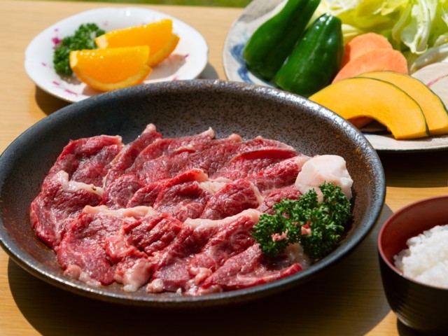 ユニトピアささやま まっぷるトラベルガイド