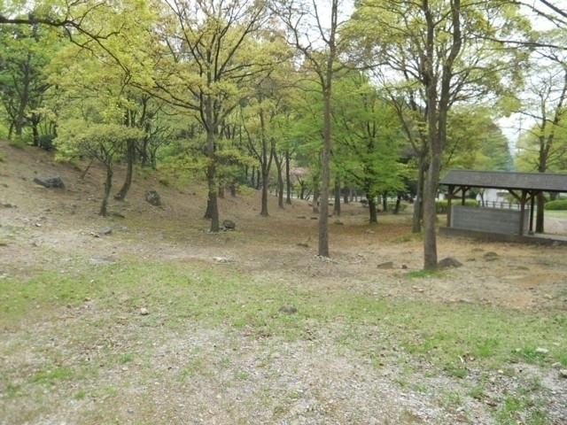 一本松公園 昭和の森 まっぷるトラベルガイド
