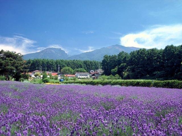 長野県の穴場観光スポット21選!混雑を避けてのんびりおでかけ
