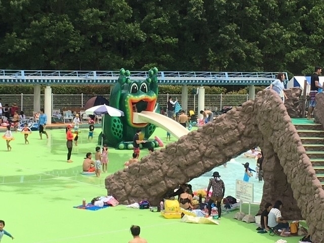 前畑 古川記念プール 橋本市運動公園 プール まっぷるトラベルガイド