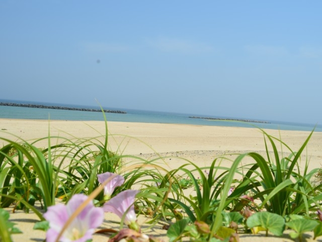 九州のおすすめのビーチ 海水浴場 21年版 期間やイベント 海の家の軒数など情報満載 まっぷるトラベルガイド