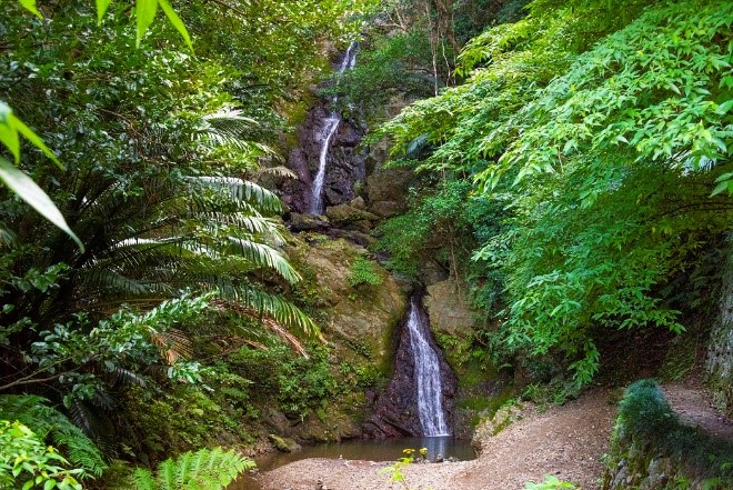 沖縄やんばる】とっておきの穴場スポット10選 ～大自然に囲まれた