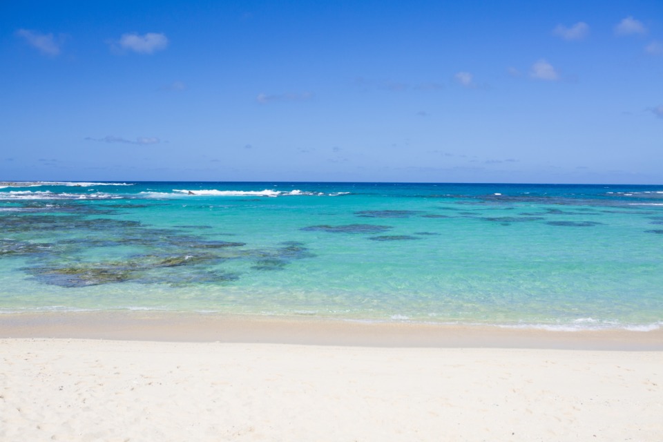 43d1eb575ba9561f8fc3270d193295