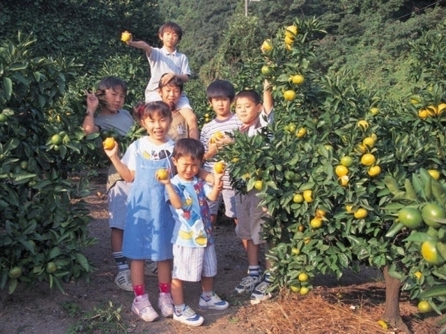 津久井浜観光農園 まっぷるトラベルガイド