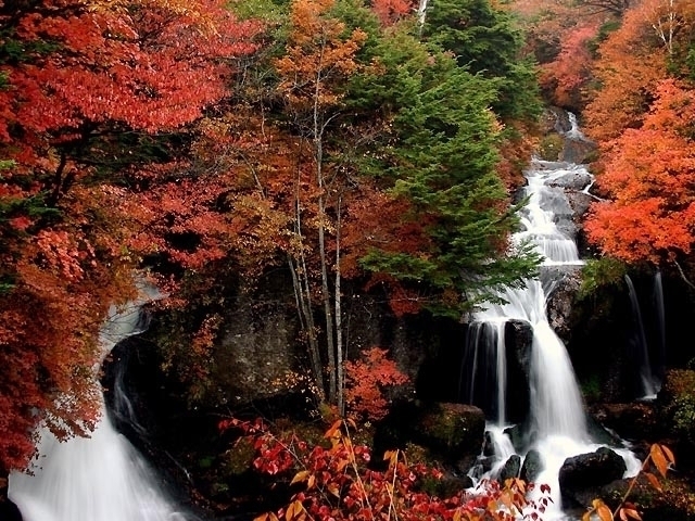 栃木県のおすすめの紅葉スポット 21年版 例年の見頃時期やイベント ライトアップなど情報満載 まっぷるトラベルガイド