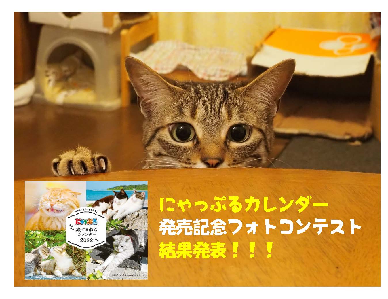 にゃっぷるカレンダー発売記念フォトコンテスト いよいよ 結果発表です まっぷるトラベルガイド