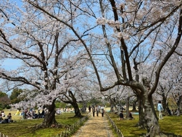 岡山県のおすすめの桜の名所・お花見スポット【2022年版】｜まっぷるトラベルガイド