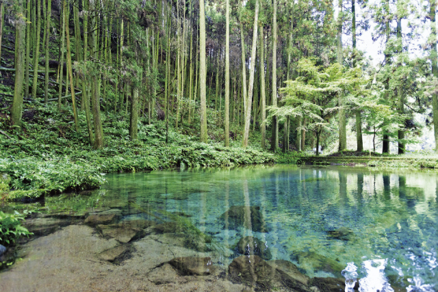 【宮崎インスタ映え/絶景⑤】陣の池(えびの市)