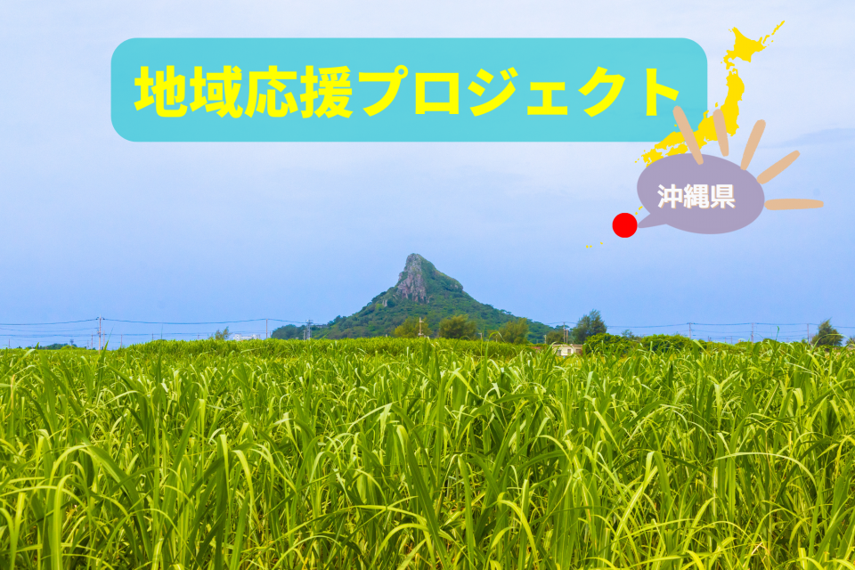 6b18d7c532088cdcce2e58c4734784