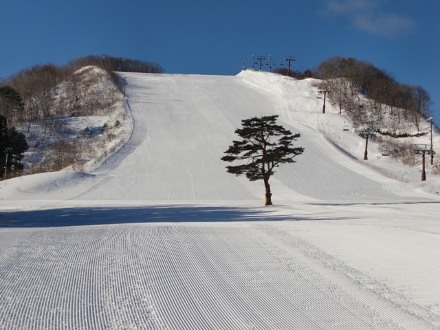 宮城県セントメリースキー場23~24リフトチケット10枚年齢関係なく使用 