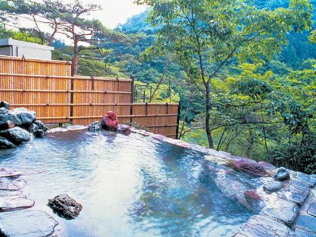 栃木県日光の日帰り温泉】絶景露天風呂や泉質自慢、屋形船の形をした