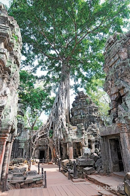 アンコール ワット遺跡群 完全攻略ナビ 観光旅行メディア まっぷるトラベルガイド