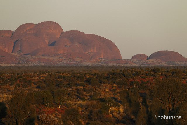 オーストラリア 絶対見たい！エアーズロック（ウルル-カタジュタ国立