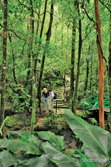 ボルネオ コタキナバル で人気の５大ネイチャーツアーをガチ体験 まっぷるトラベルガイド