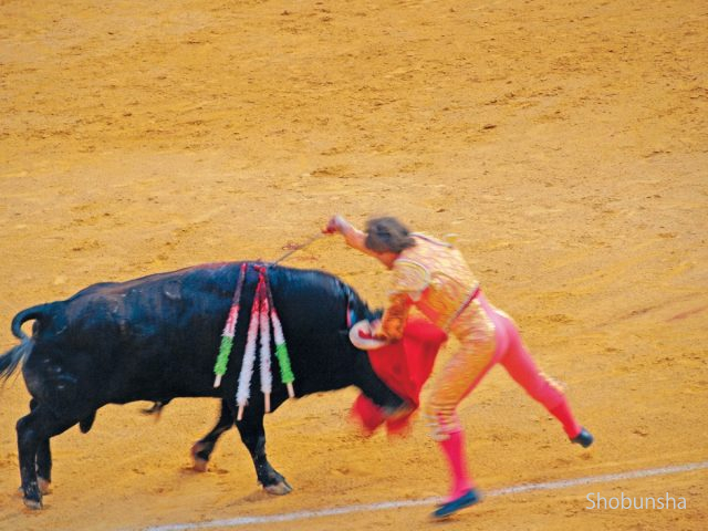 スペイン 闘牛 生と死の間にある真実とは まっぷるトラベルガイド