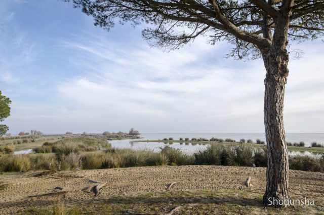 スペイン 世界遺産 ４５リスト まっぷるトラベルガイド