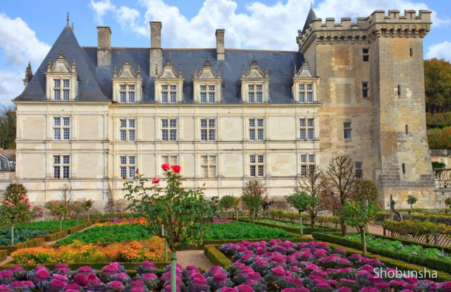 フランスの世界遺産【ロワール渓谷】川面に映る古城が美しい