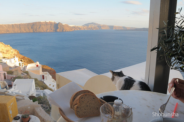 113386_main_e26b5b43cf49631a9d