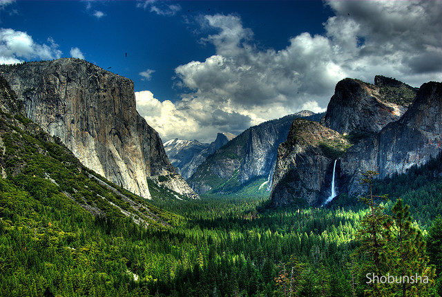 写真で見る カリフォルニアの巨大な自然スポット5選 まっぷるトラベルガイド