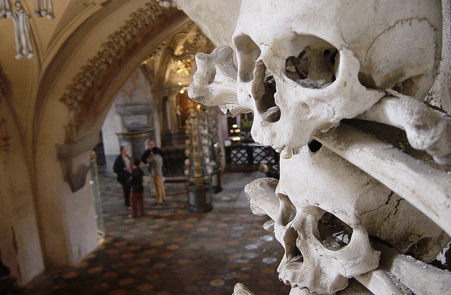 2692958974_7beb3552ea_z