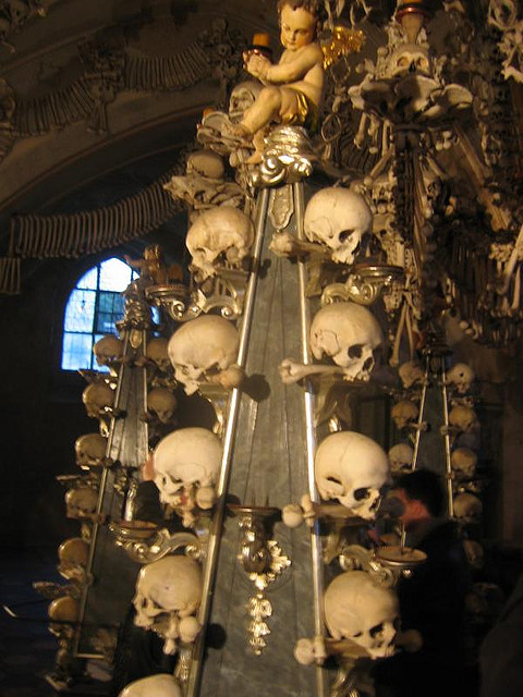 3576665966_d43f7f2032_z