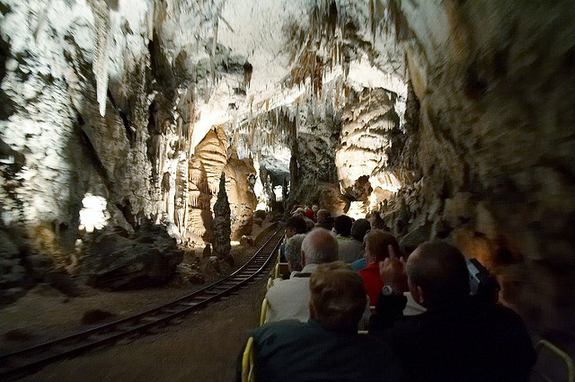 164187672_e8327d0604_z