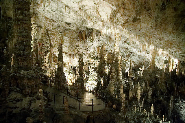 164188360_0b5cb28ae1_z