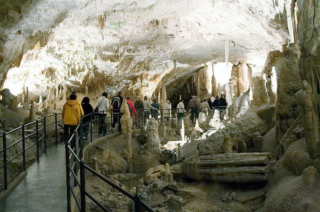 164190678_5341587134_z