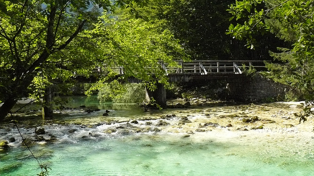 7808064304_7502f421f7_z