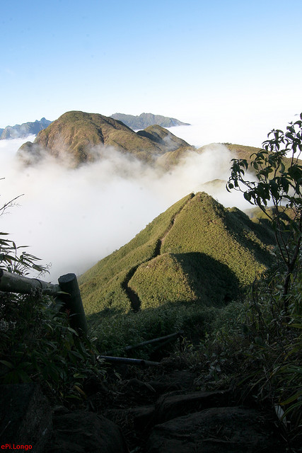 3173493957_42fc49577e_z