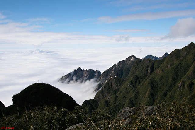 3173502143_1ce328dee0_z