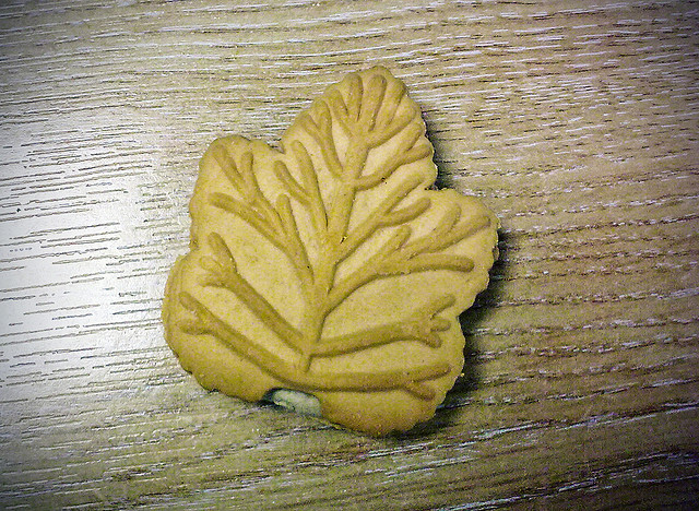 3919143490_d82d28938c_z