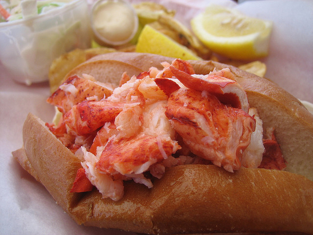 478720230_51a4374bf1_z