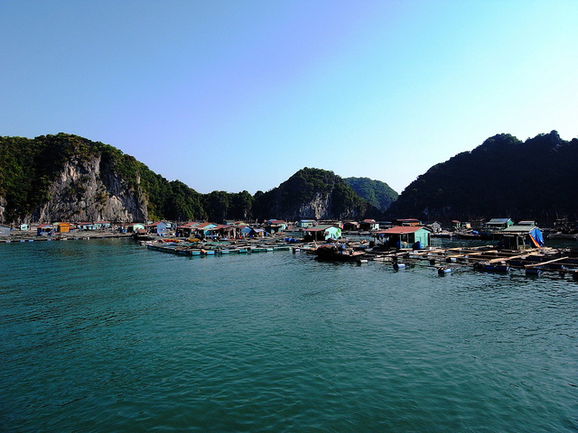 Floating fishing village in Ha Long Bay