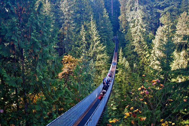 6321716371_3dd505e367_z