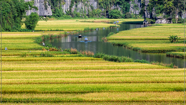 8888379345_d6ce0156f3_z