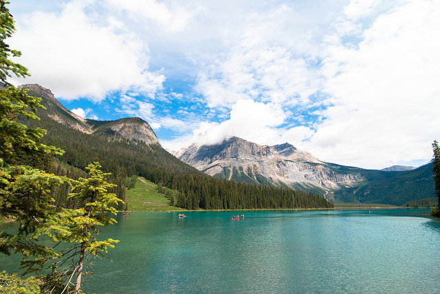 9902962674_f700807ff1_z