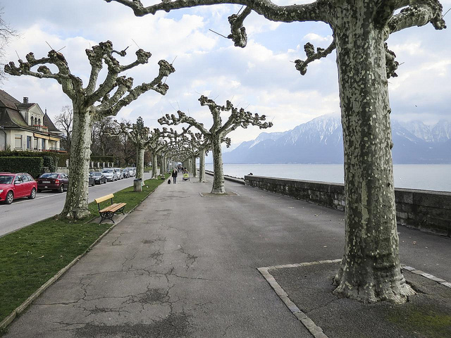 13003932094_225b108182_z