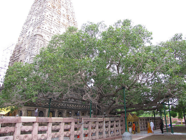 3731909158_fa2509f760_z