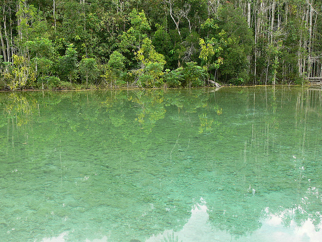 463624669_aaf81498a8_z