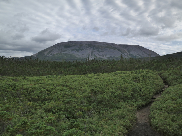 9780531672_cd26a63386_z