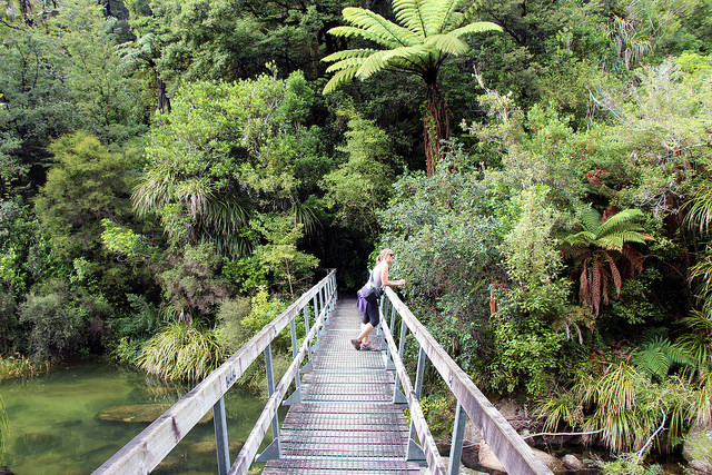 12216746196_6528dfbe4a_z