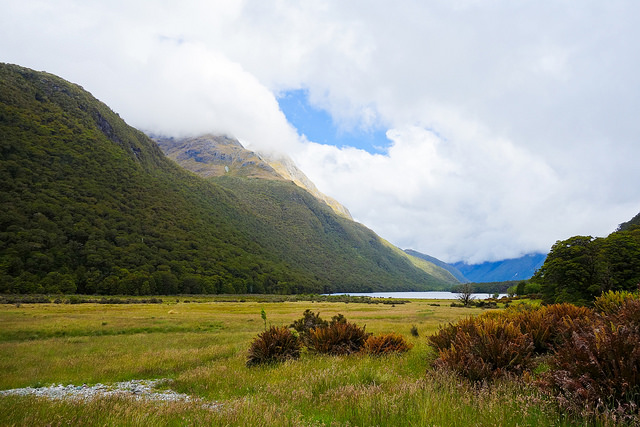 13681047843_816fc7eb18_z