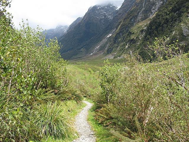 2285401872_a3815b8a2f_z