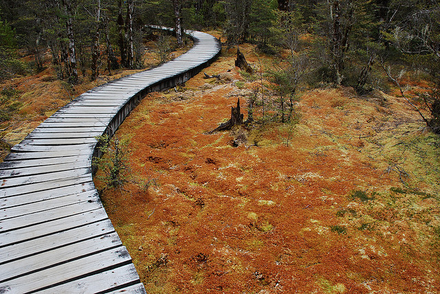 3408922079_76184bcf42_z