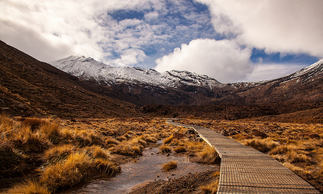 9140997457_9b7b6938d7_z