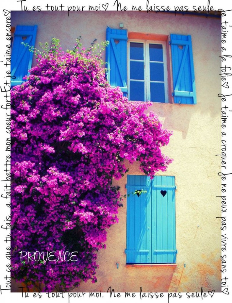 provence83.ameblo.jp