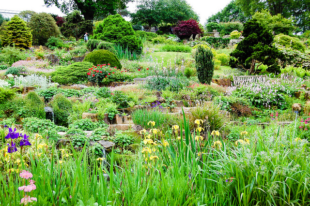 15020378615_75d5445210_z